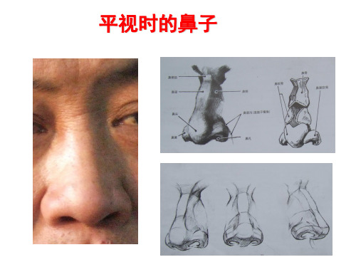 正面平视男子人物头像写生--平视头像2