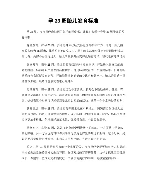 孕23周胎儿发育标准