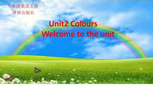 牛津译林版英语九年级上册第二单元Welcome to the unit 课件