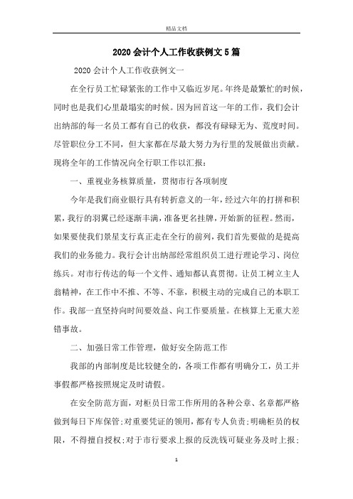 2020会计个人工作收获例文5篇