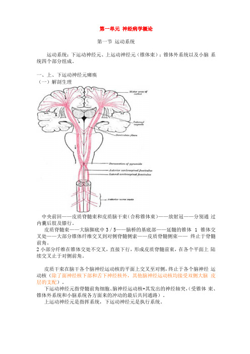 完整版神经病学第七版