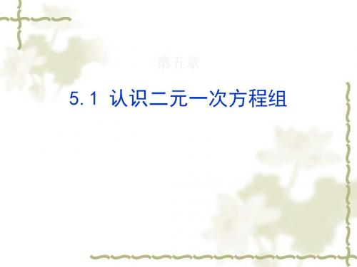 【课件】八年级上册数学第五章5.1认识二元一次方程组北师版 (共22张PPT)