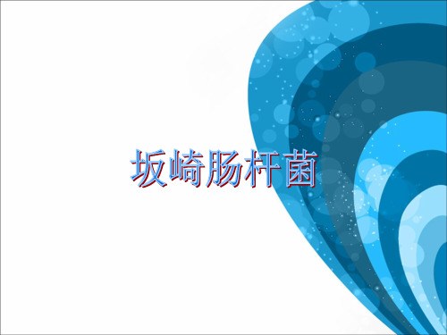 坂崎肠杆菌