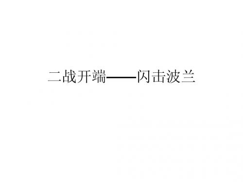 3 闪击波兰
