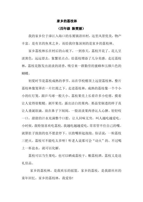 家乡的荔枝林