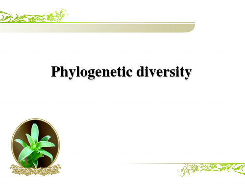 DNA barcoding  Phylogenetic diversity DNA条形码技术 谱系多样性
