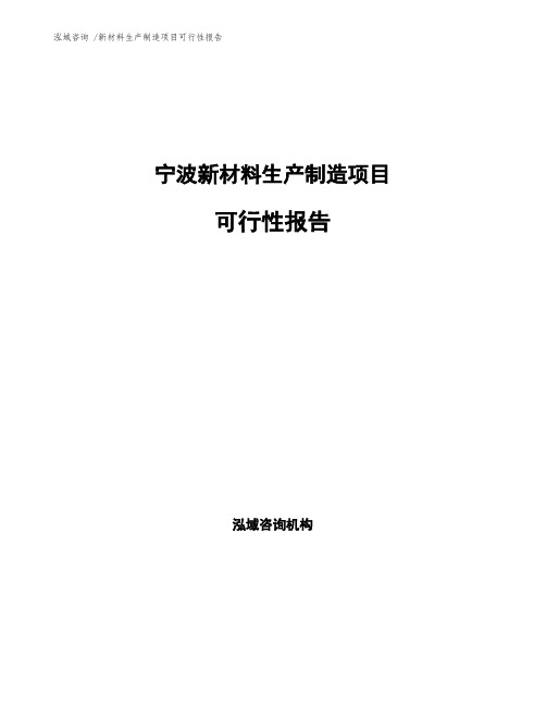 宁波新材料生产制造项目可行性报告