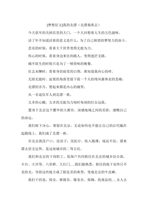 梦想征文我的北漂北漂秦淮志-作文