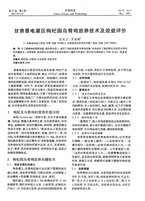 甘肃景电灌区枸杞园乌骨鸡放养技术及效益评价