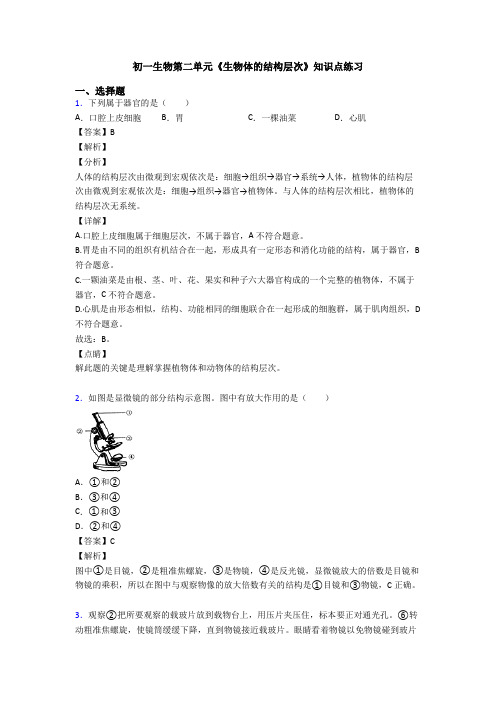 初一生物第二单元《生物体的结构层次》知识点练习