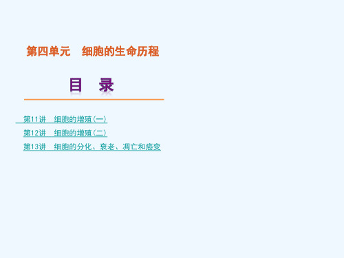高考生物一轮复习细胞的生命历程精品课件