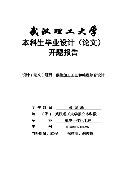 武汉理工大学(论文)开题报告