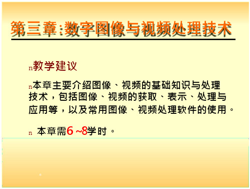 数字图像处理数字图像与视频处理技术.