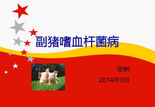 《副猪嗜血杆菌》PPT课件