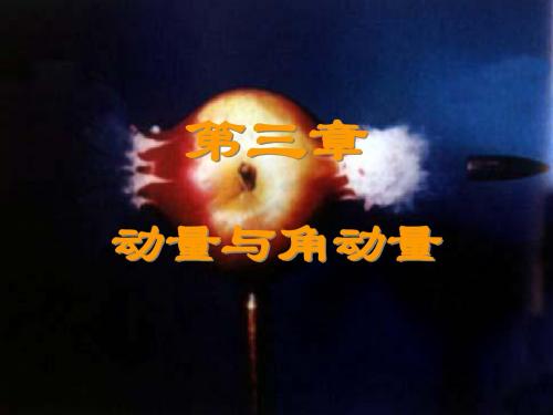 3-1 动量与角动量