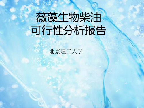 薇藻制油可行性报告