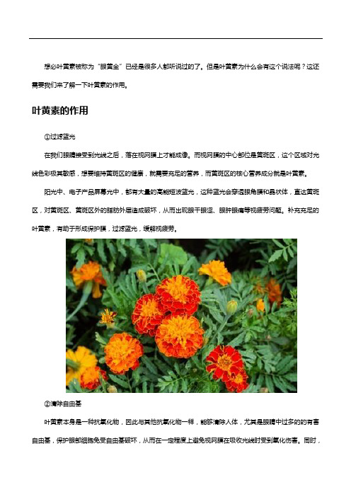 叶黄素的作用是什么,为什么叶黄素被称为“眼黄金”