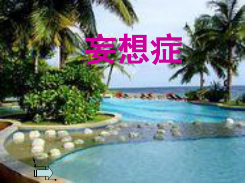 妄想症PPT课件
