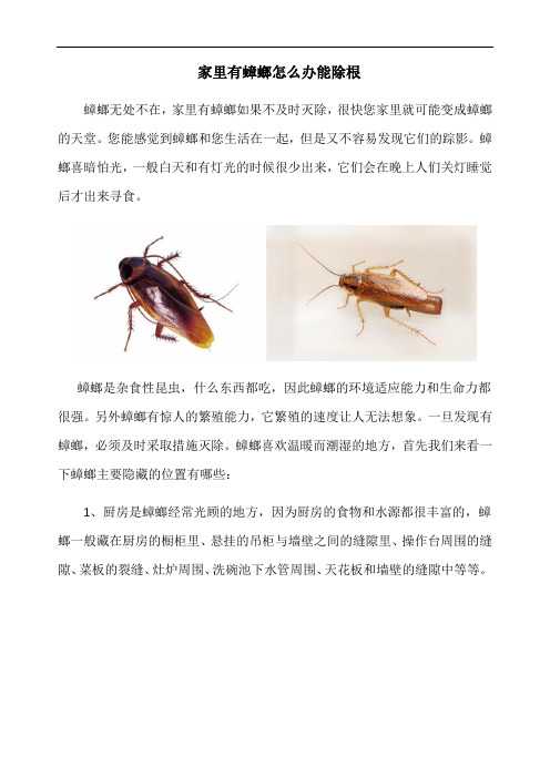 家里有蟑螂怎么办能除根