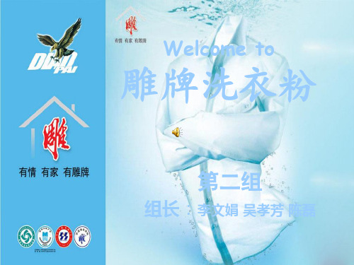 雕牌洗衣粉的简介