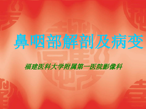 鼻咽部解剖及病变