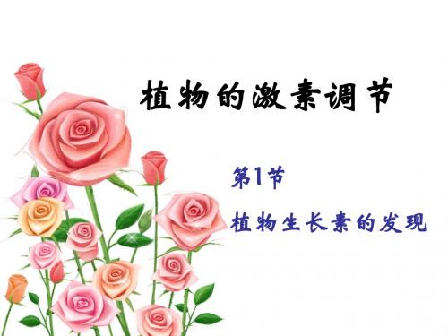 高中生物必修三_3.1_植物生长素的发现_课件_教案2