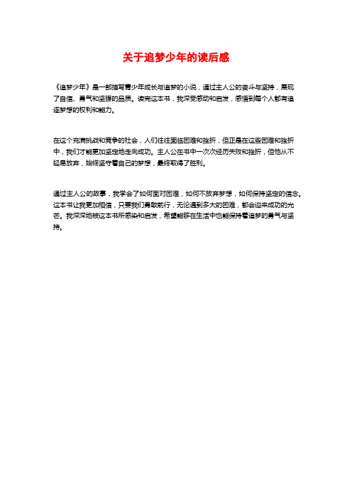 关于追梦少年的读后感