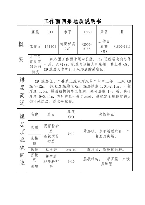 地质说明书121101 