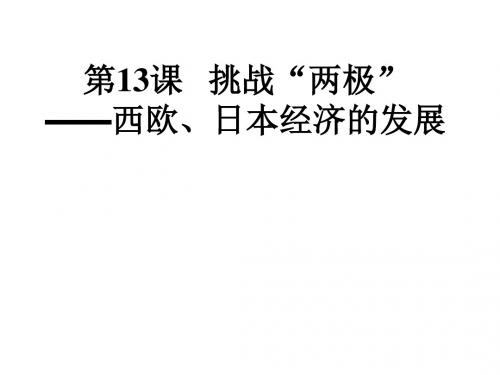 挑战“两极”课件 (共24张PPT)