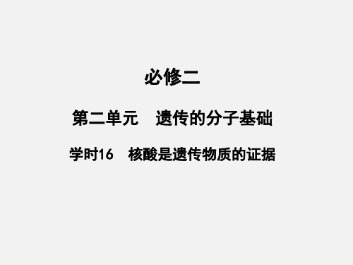 高考生物 一轮复习 学时16 核酸是遗传物质的证据 浙科版必修2