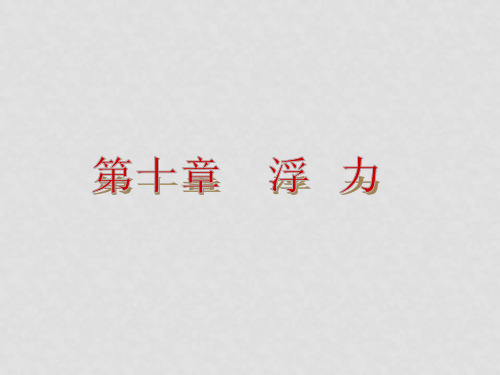 中考物理总复习 第10章 浮力课件