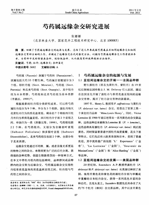 芍药属远缘杂交研究进展