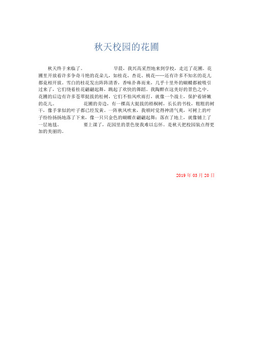 小学记叙文 秋天校园的花圃-精品
