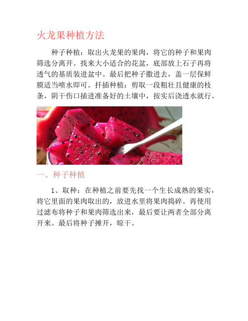 火龙果种植方法-养花技巧