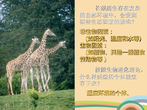 七年级生物对环境的适应和影响PPT优秀课件