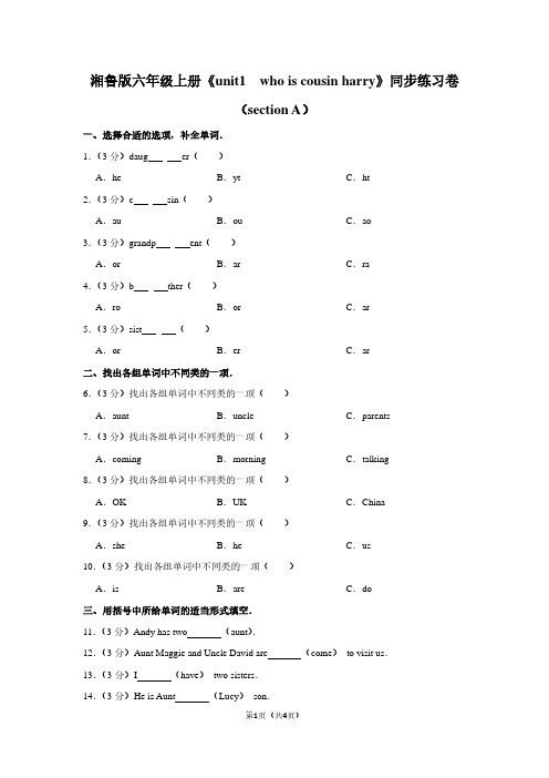 湘鲁版六年级(上)《unit1  who is cousin harry》同步练习卷(section A)
