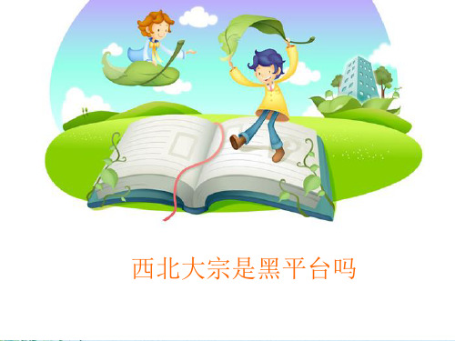 西北大宗是黑平台吗概要