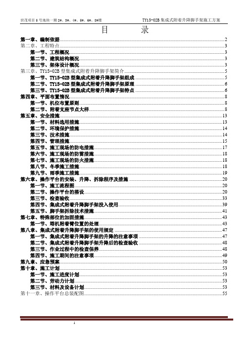 爬架专家论证方案最终
