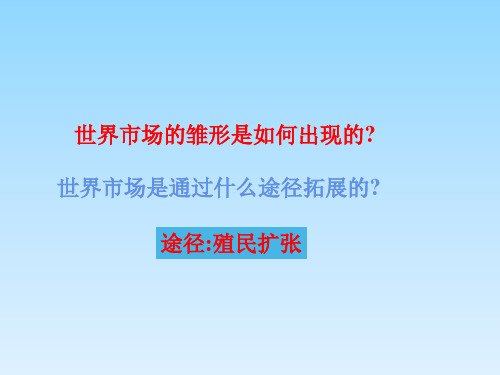 高中历史必修二第二单元·资本主义世界市场的形成和发展：第6课 殖民扩张与世界市场的拓展 (10)