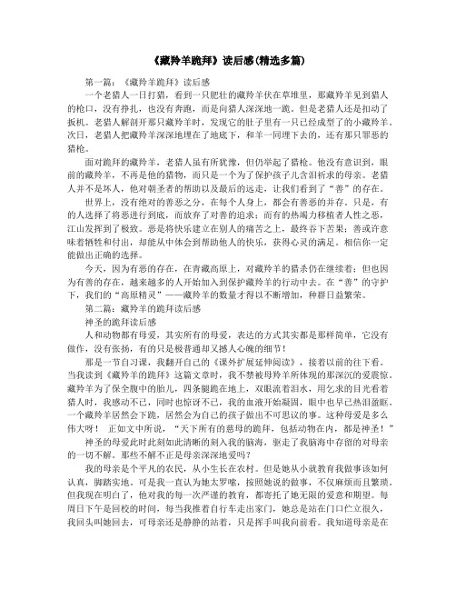 《藏羚羊跪拜》读后感(精选多篇)