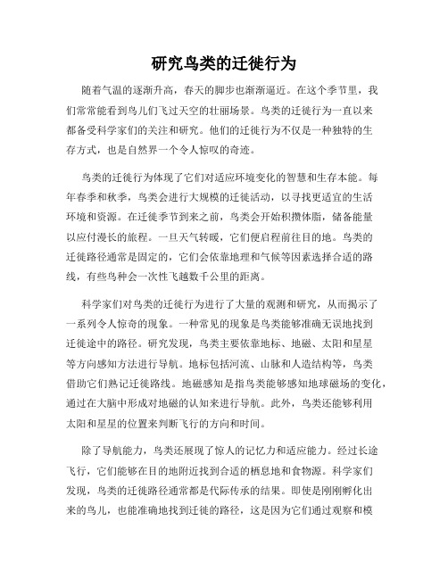 研究鸟类的迁徙行为