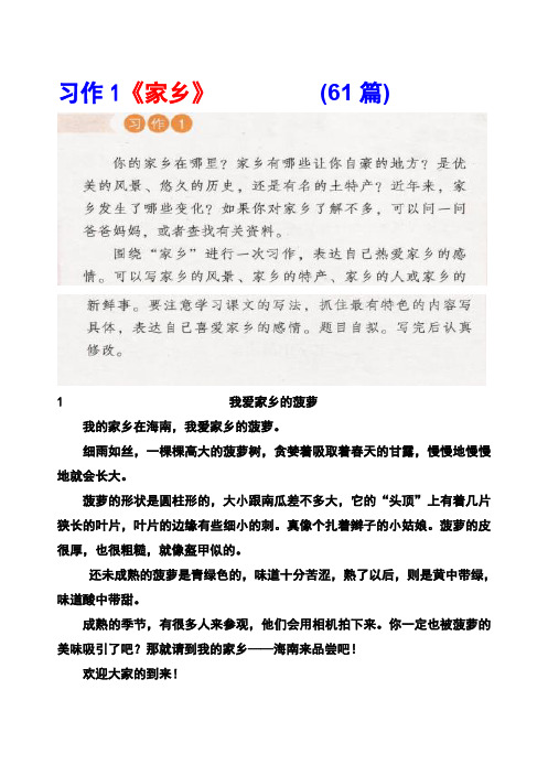 湘教版五年级上册习作1《家乡》范文(计61篇)