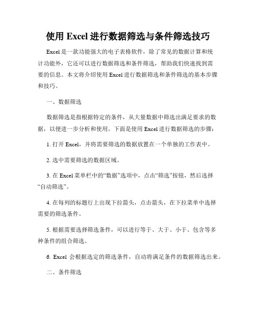 使用Excel进行数据筛选与条件筛选技巧