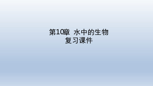 苏科版生物七年级下册第10章 水中的生物 复习课件共31张