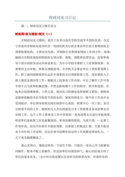 财政局实习日记
