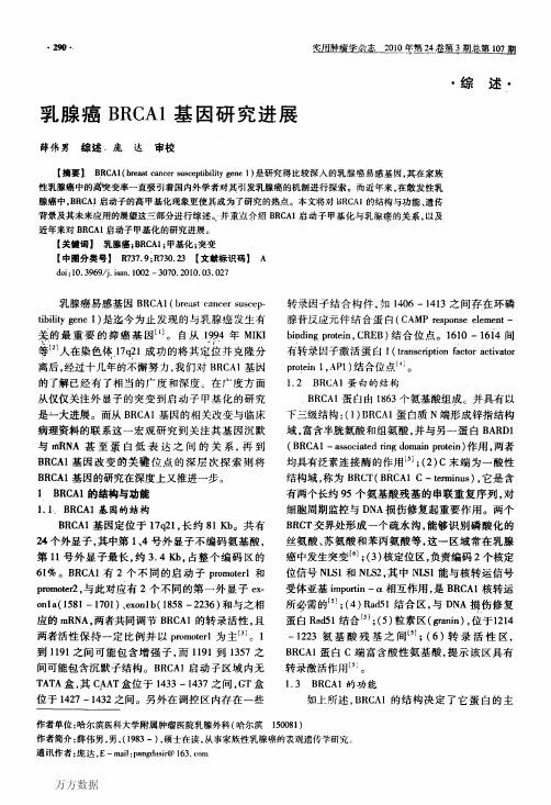 乳腺癌BRCA1基因研究进展
