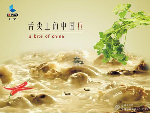 舌尖上的中国 英文版
