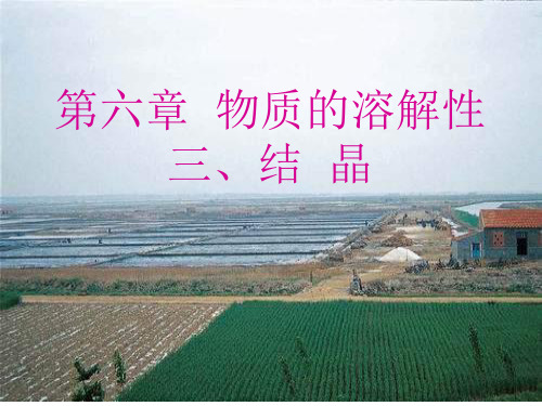 九年级化学结晶PPT课件