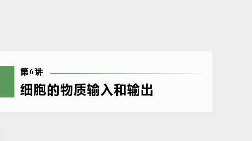 2022届 高考  一轮复习 人教版   细胞的物质输入和输出  课件 (91张)