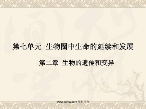 广东省中山市南头初级中学人教版2016年中考复习课件(考点突破 课